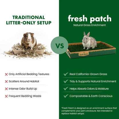 Rabbit Patch - Farm Fresh Grass Pad (Standard)