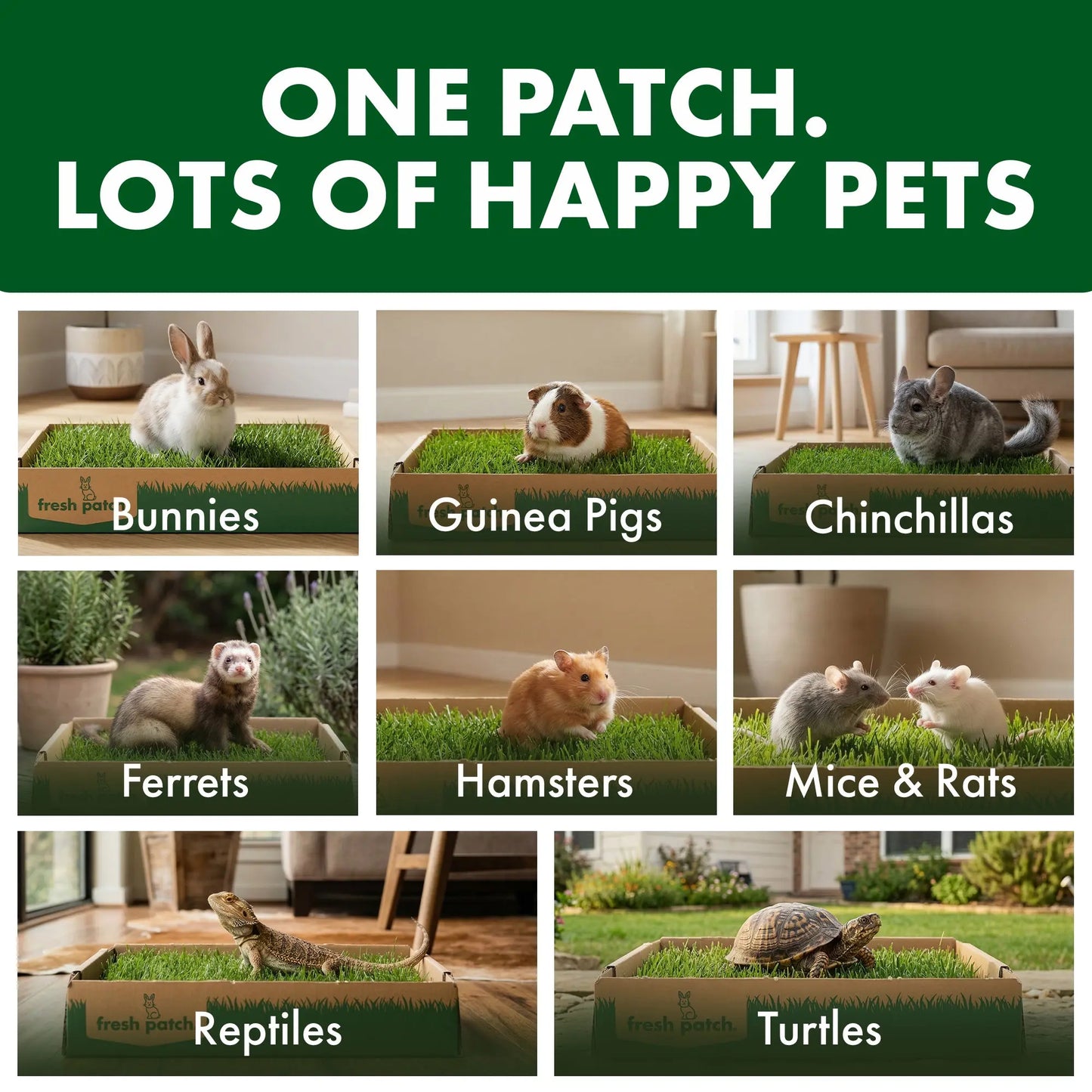 Rabbit Patch - Farm Fresh Grass Pad (Standard)