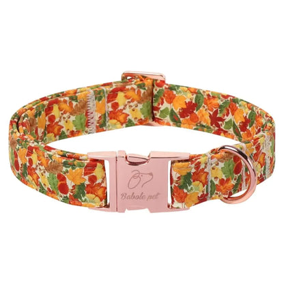 Fall Pumpkin Latte Print Puppy Collar | Adjustable Heavy-Duty Small Dog Collar with Metal Buckle, XS Size