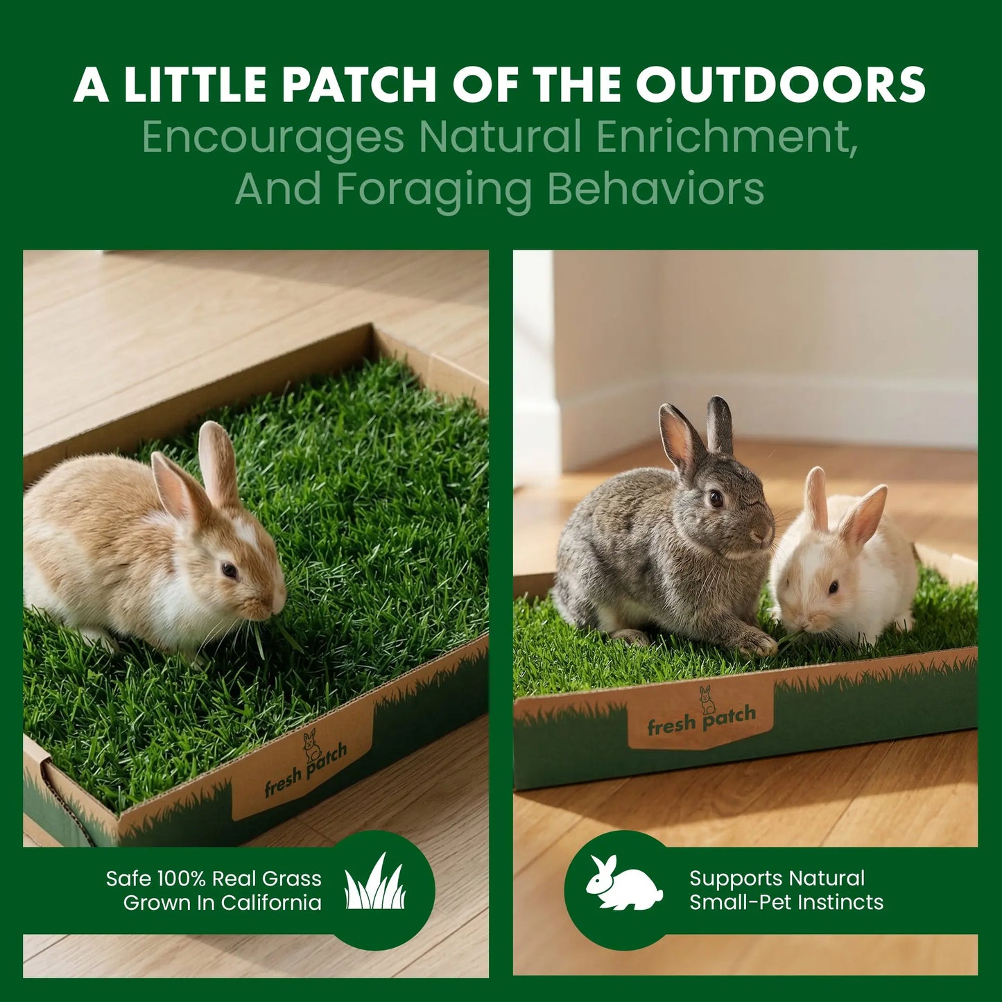 Rabbit Patch - Farm Fresh Grass Pad (Standard)
