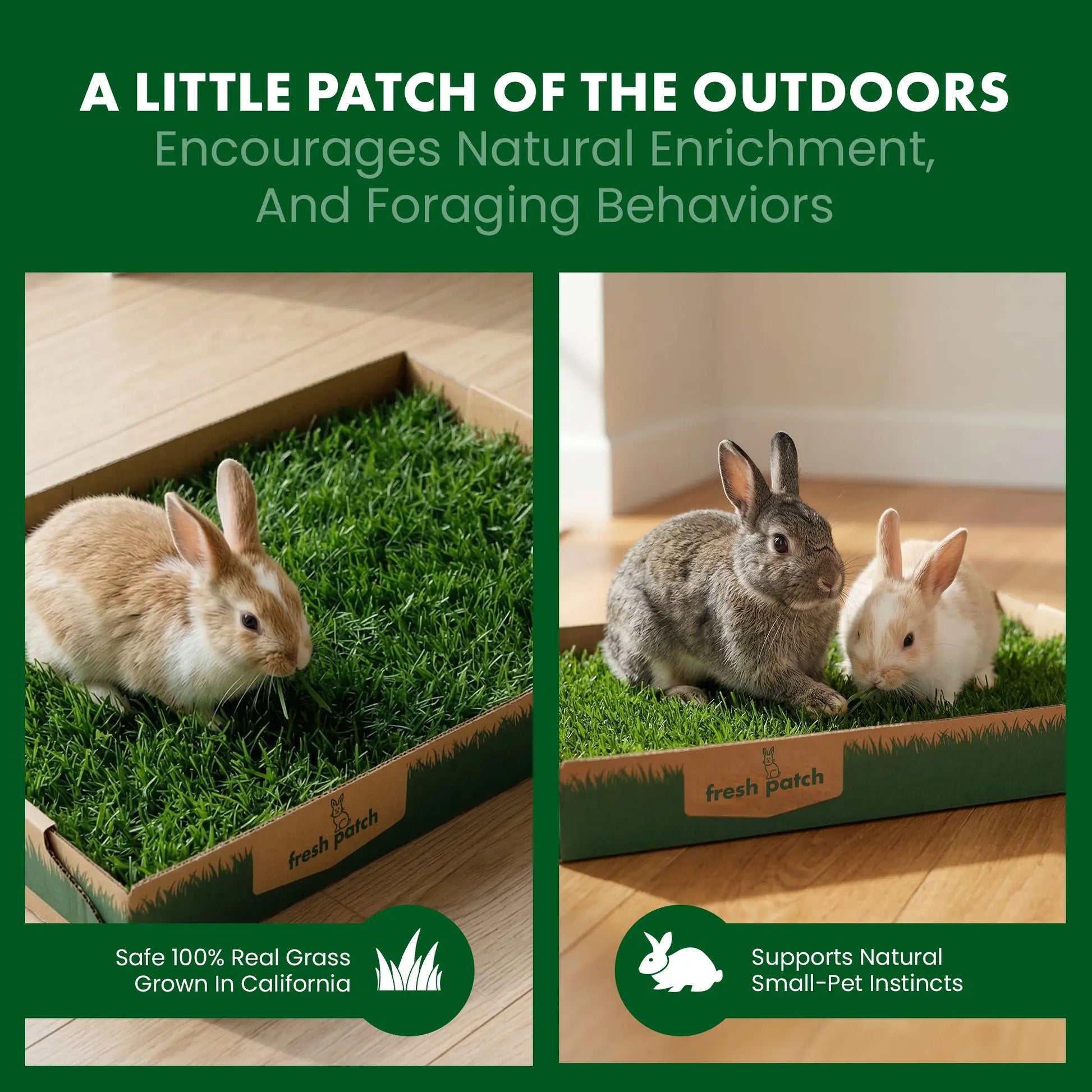 Rabbit Patch - Farm Fresh Grass Pad (Standard)
