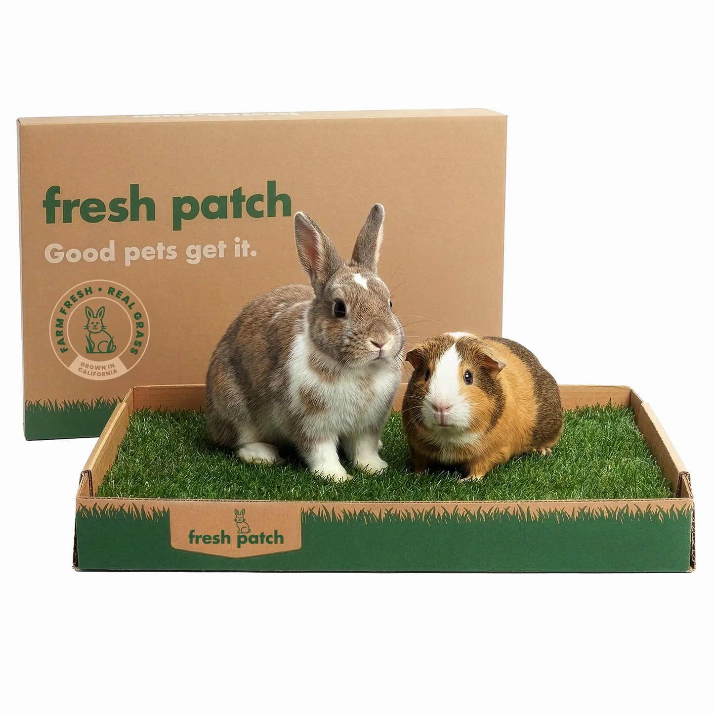 Rabbit Patch - Farm Fresh Grass Pad (Standard)