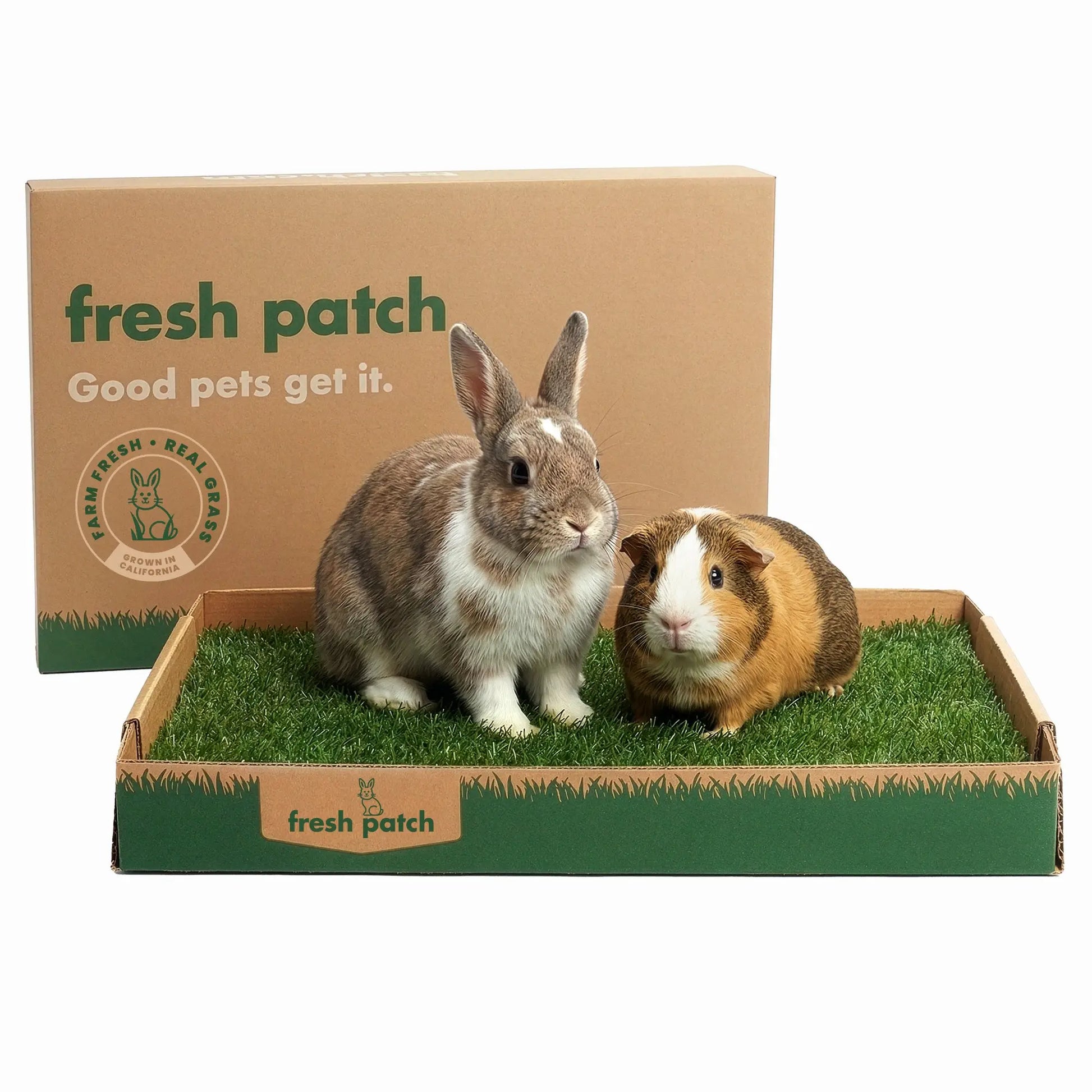 Rabbit Patch - Farm Fresh Grass Pad (Standard)