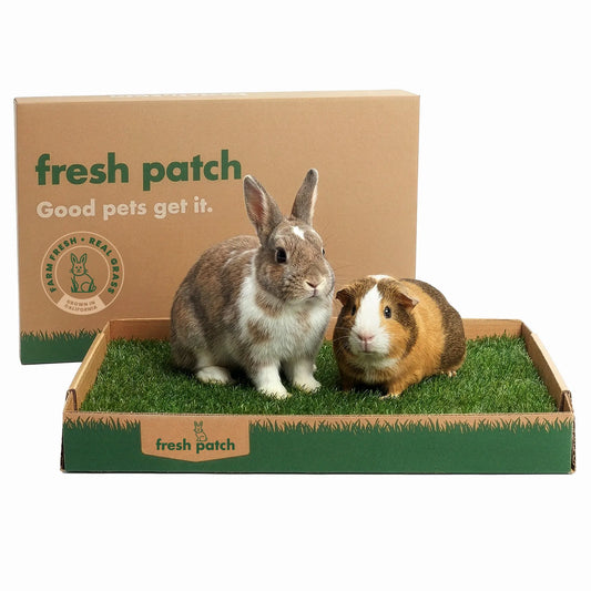 Rabbit Patch - Farm Fresh Grass Pad (Standard)
