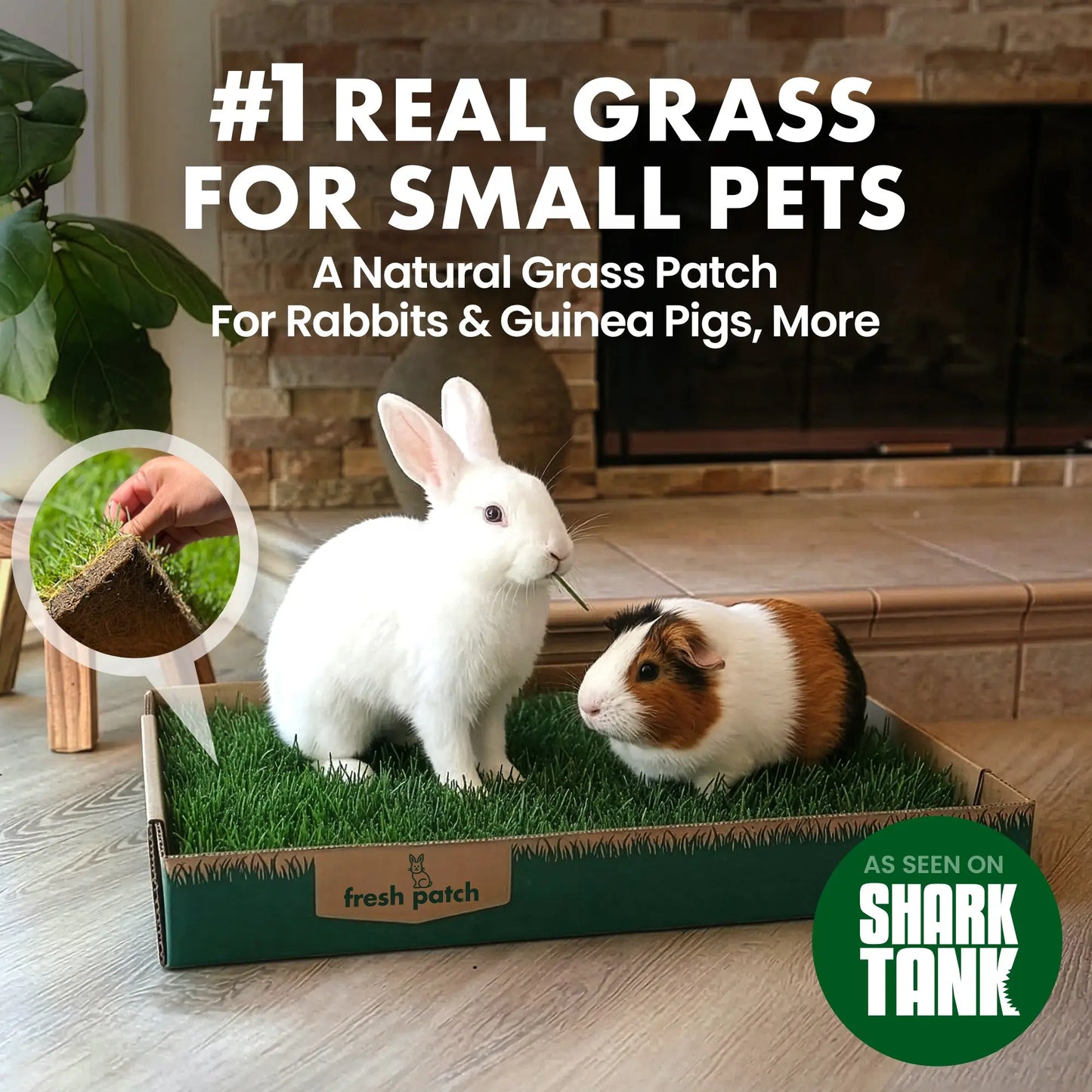 Rabbit Patch - Farm Fresh Grass Pad (Standard)